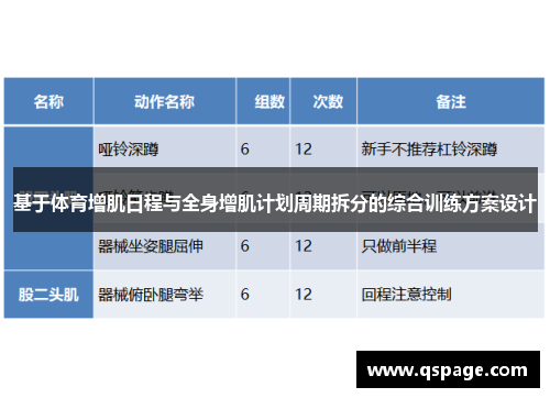 基于体育增肌日程与全身增肌计划周期拆分的综合训练方案设计